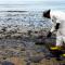 oil spill dispersant- westindiachemical.com