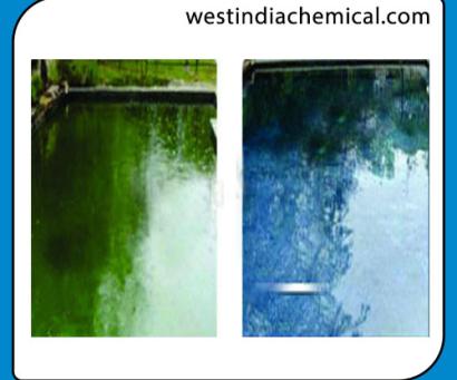 All In One Algaecide