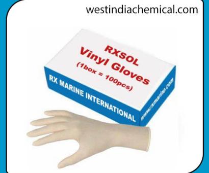 Vinyl Gloves (1box =100pcs)