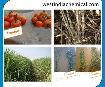 AGRISOL B 15