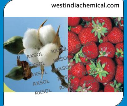 AGRISOL B 11