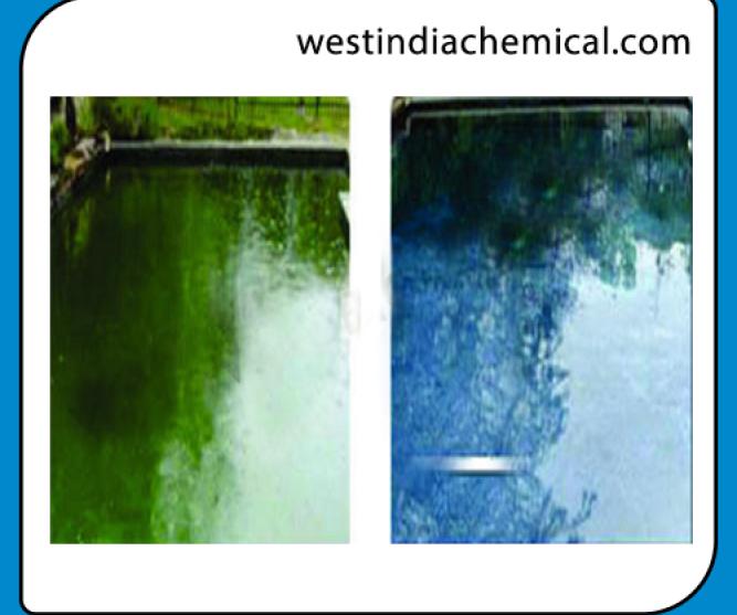 Algaecide Clarifier