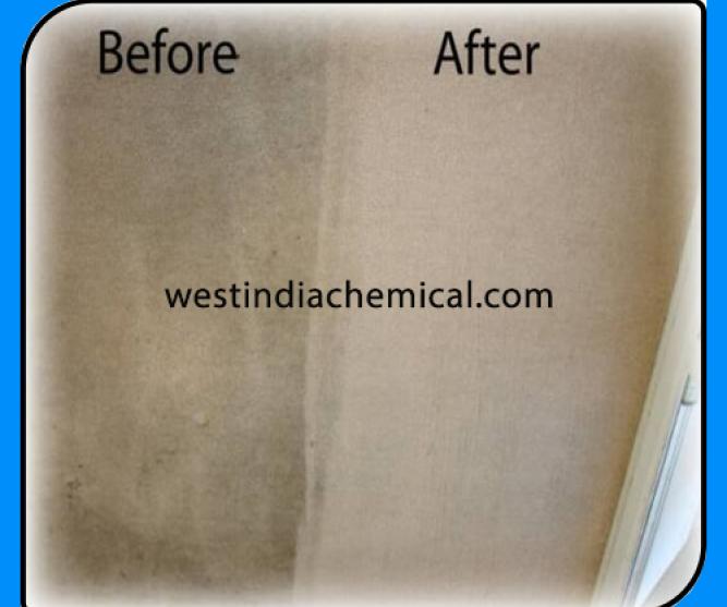 Carpet Cleaner Bio