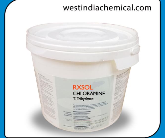 Chloramine T trihydrate