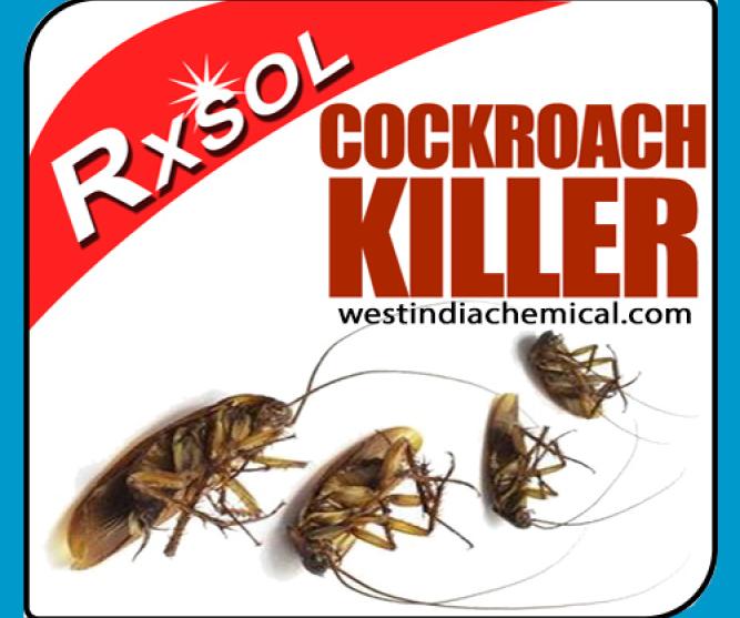 Cockroach Killer 4 Ltrs