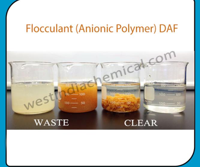 Flocculant Anionic Polymer DAF