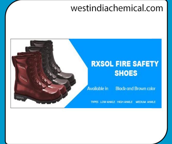 Foot Protection Safety SHOE