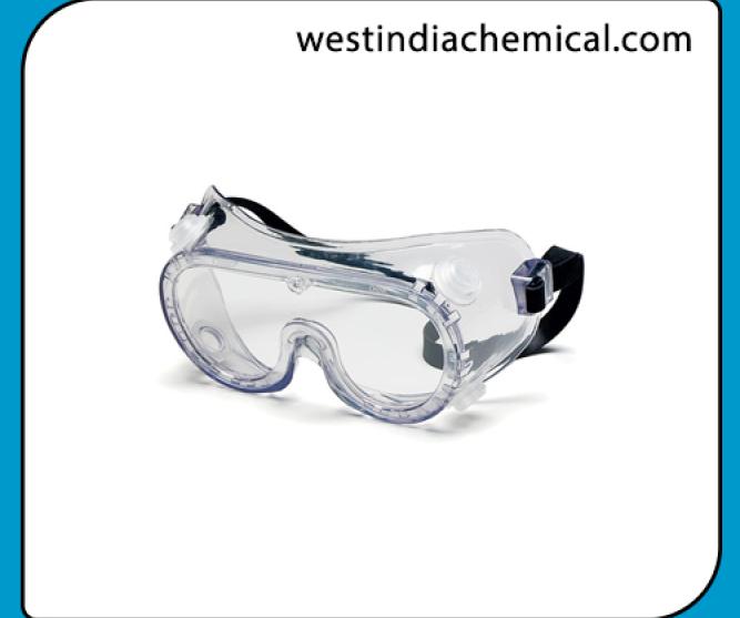 Goggle