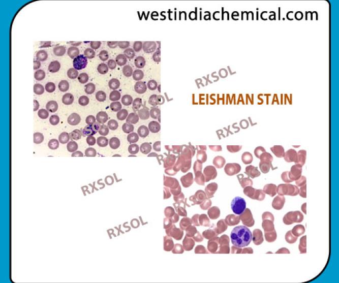 LEISHMAN STAIN