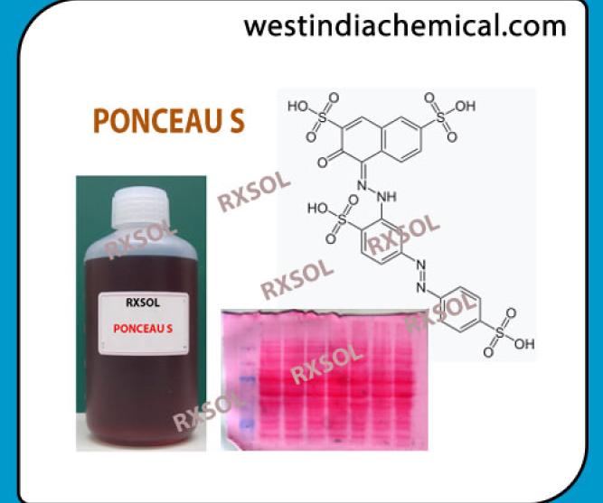 PONCEAU S