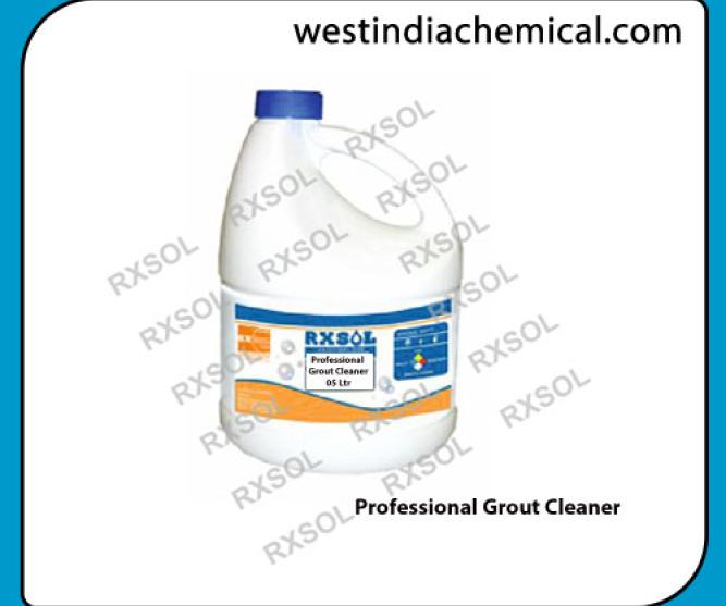 Professional Grout Cleaner