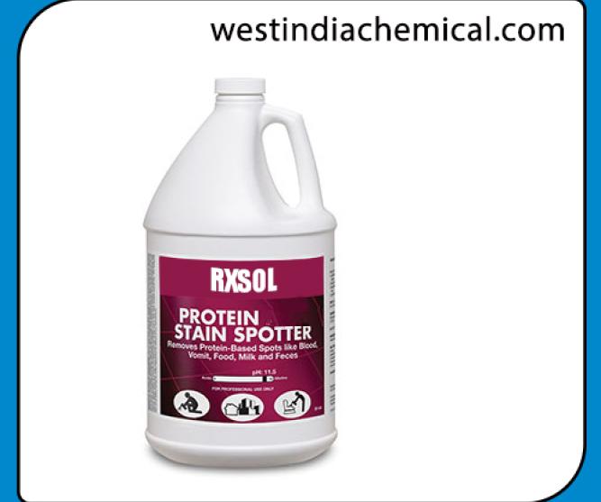 Protein Stain Spotter
