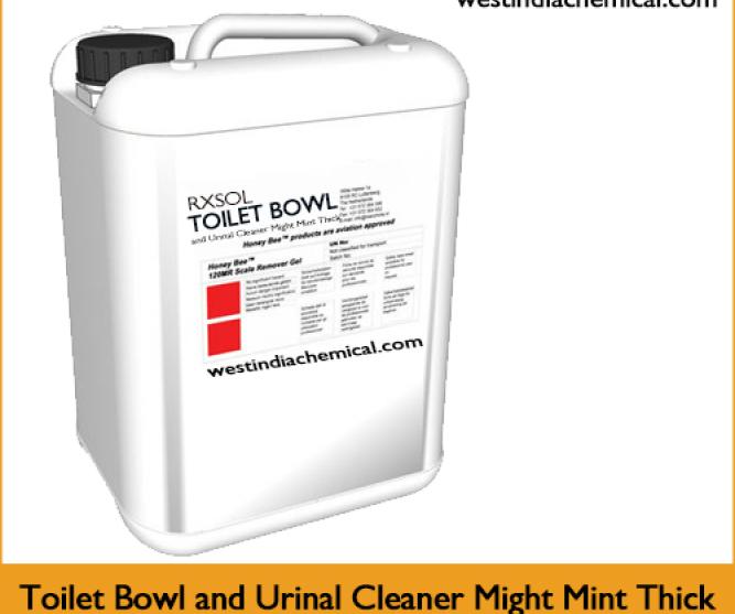 Toilet Bowl and Urinal Cleaner Might Mint Thick
