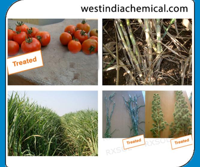 AGRISOL B 15