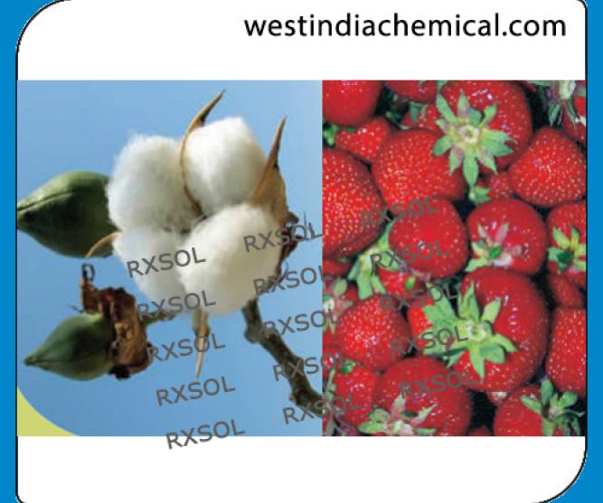 AGRISOL B 11