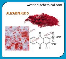 ALIZARIN RED S