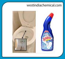 Biological Toilet Cleaner