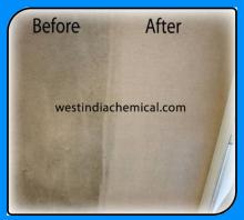 Carpet Cleaner Bio