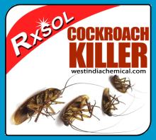 Cockroach Killer 4 Ltrs