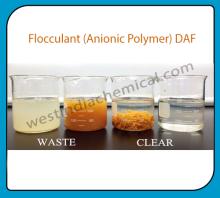 Flocculant Anionic Polymer DAF