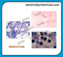 GIEMSA STAIN