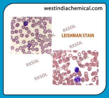 LEISHMAN STAIN