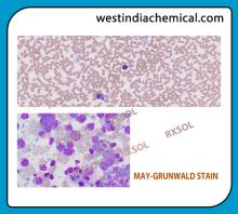 MAY-GRUNWALD STAIN