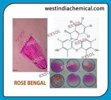 ROSE BENGAL