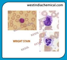 WRIGHT STAIN