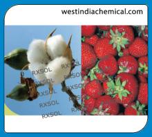 AGRISOL B 11