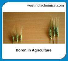 Boron