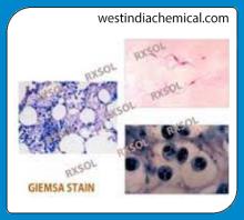 GIEMSA STAIN FOR MICROSCOPY